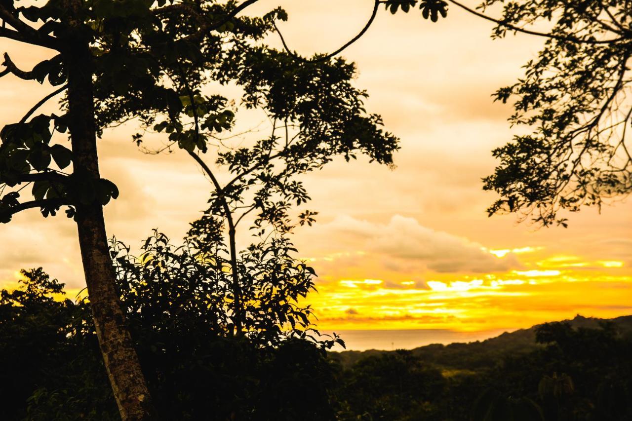 Oasis Uvita Bed & Breakfast ภายนอก รูปภาพ